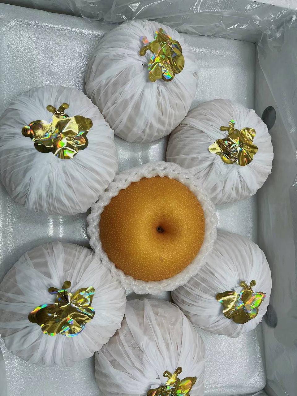 fruit