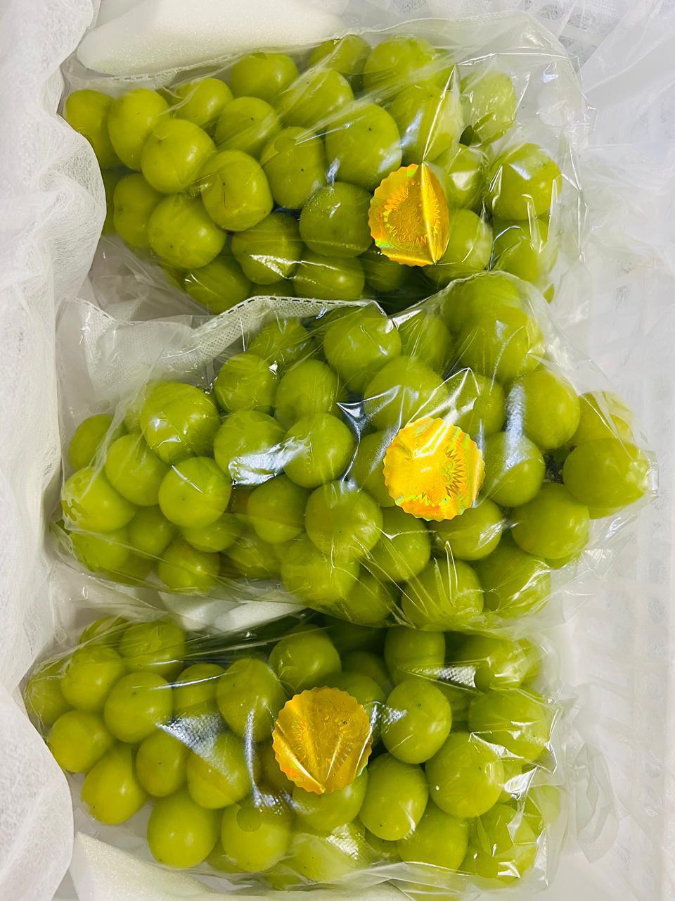 fruit