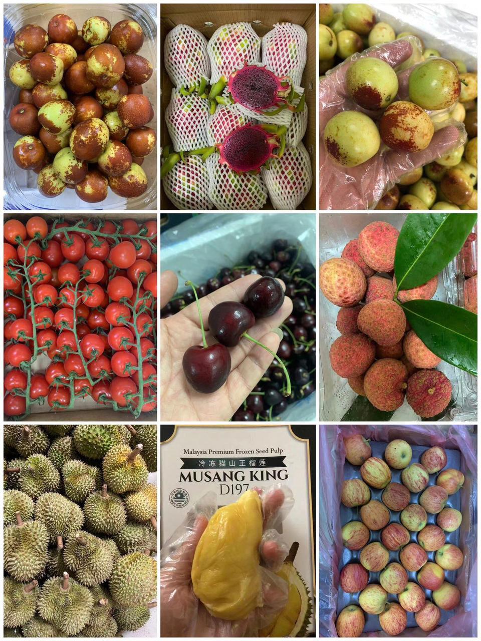 fruit