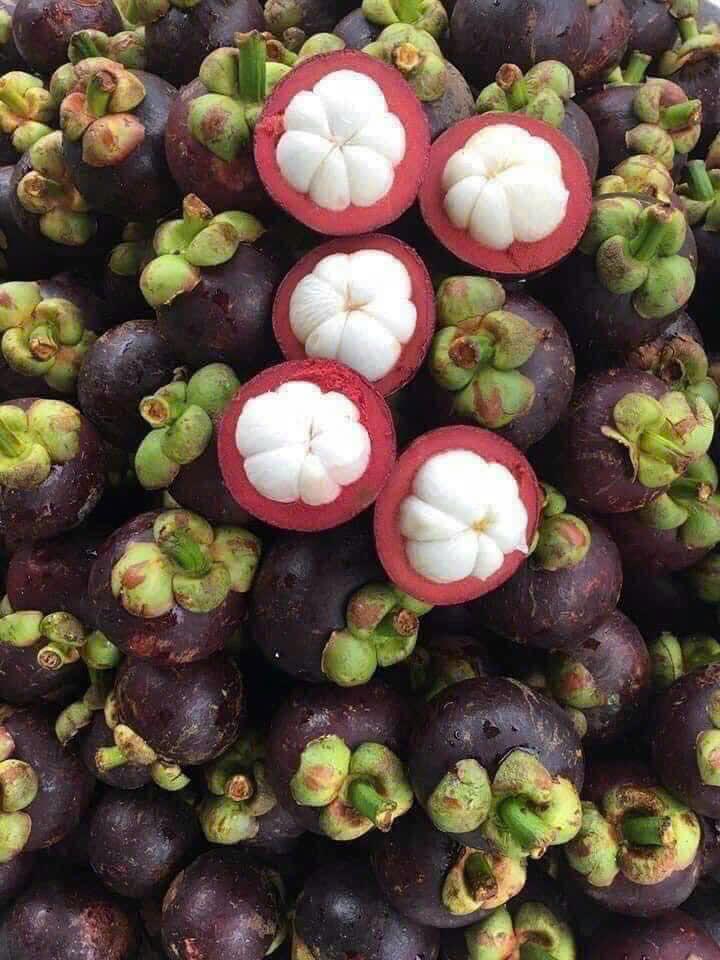 mangostein