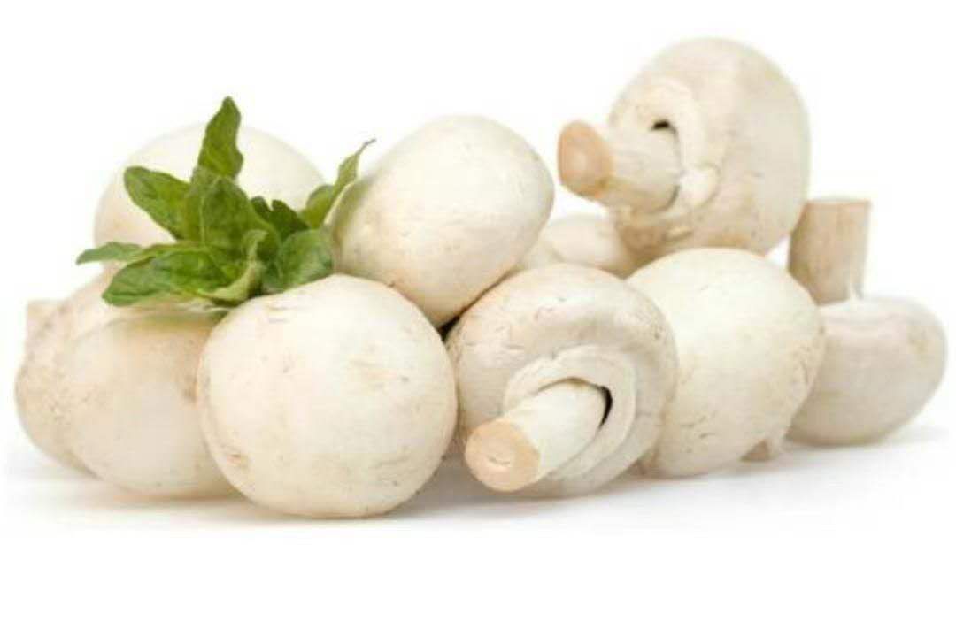 whitemushrroms